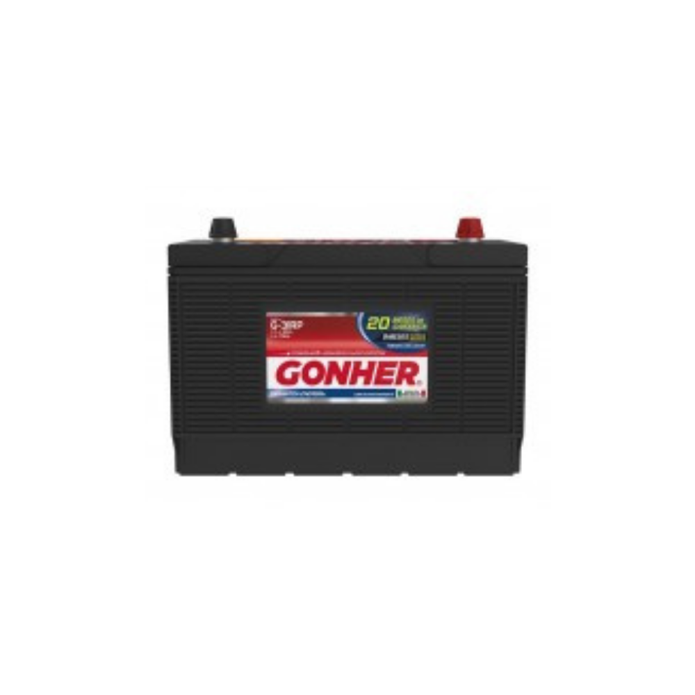 Batería Pesado Gonher G-31RP